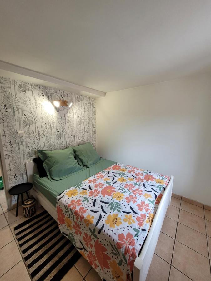 Appartement Cosy En Centre Ville Montauban Extérieur photo